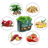 Potato Planting Bag Vegetable Plant Seedling Bag Cultivation Bag