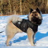 FancyGrab Waterproof Warm Winter Dog Harness Coat Black