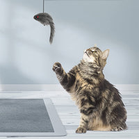 Set of 2 Styles Hanging Door Bouncing Self-Play Interactive Mouse Cat Toy