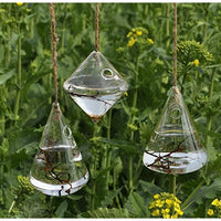 3 Pcs Indoor Outdoor Glass Hanging Planters Containers Flower Pots