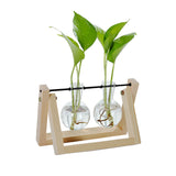 Wooden Stand Hydroponic Plant Glass Vase Container Home Decor