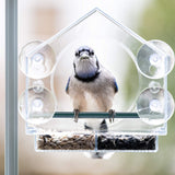 Acrylic Clear Window Bird Feeder with 4 Suction Cups