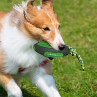 Dog Toothbrush Chew Stick Treat Balls Dispensing Dog Toys -Green