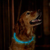 Light-Up Pet Dog Collars USB Rechargeable Pet Collar Adjustable Size Pet Collar Blue