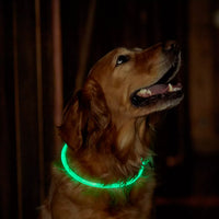 Light-Up Pet Dog Collars USB Rechargeable Pet Collar Adjustable Size Pet Collar Green