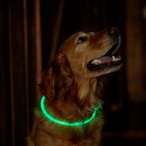 Light-Up Pet Dog Collars USB Rechargeable Pet Collar Adjustable Size Pet Collar Green