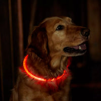 Light-Up Pet Dog Collars USB Rechargeable Pet Collar Adjustable Size Pet Collar Red