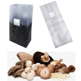 20pcs 50x25cm Mushroom Grains Spawn Grow Bags