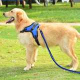 Adjustable Extra Large Dog Harness Reflective Breathable Pet Vest-Blue