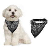 Adjustable Pet Dog Cat Puppy Neck Collar with Scarf Bandana-Black