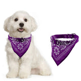 Adjustable Pet Dog Cat Puppy Neck Collar with Scarf Bandana-Purple