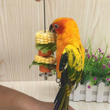 Stainless Steel Bird Parrot Cage Skewer Food Meat Stick