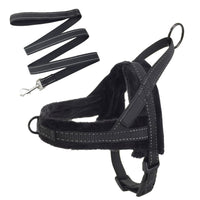 FancyGrab No Pull Front Clip Dog Harness Adjustable Plush Padded Pet Vest Harness and Leash Set Black