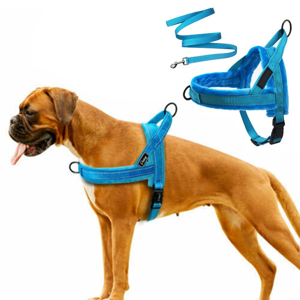 FancyGrab No Pull Front Clip Dog Harness Adjustable Plush Padded Pet Vest Harness and Leash Set Blue