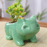 Frog Ceramic Planter Pot Succulent Flowerpot Home Decoration