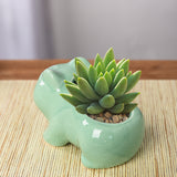 Frog Ceramic Planter Pot Succulent Flowerpot Home Decoration