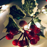 2m 20LED Battery Operated Christmas Berry Garland String Light