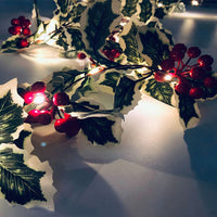 2m 20LED Battery Operated Christmas Berry Garland String Light