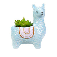 2 X Alpaca Ceramic Flower Pots Garden Home Decor Blue