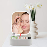 LED Lighted Makeup Mirror Cosmetic Case Folding Makeup Organizer