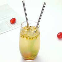 10pcs Stainless Steel Straws Spoon Drinking Straw Spoon Dual-Use Straws Tea Spoon