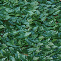 1X1M Artificial Faux Ivy Leaf Fence Screen Garden Privacy Wall Decor