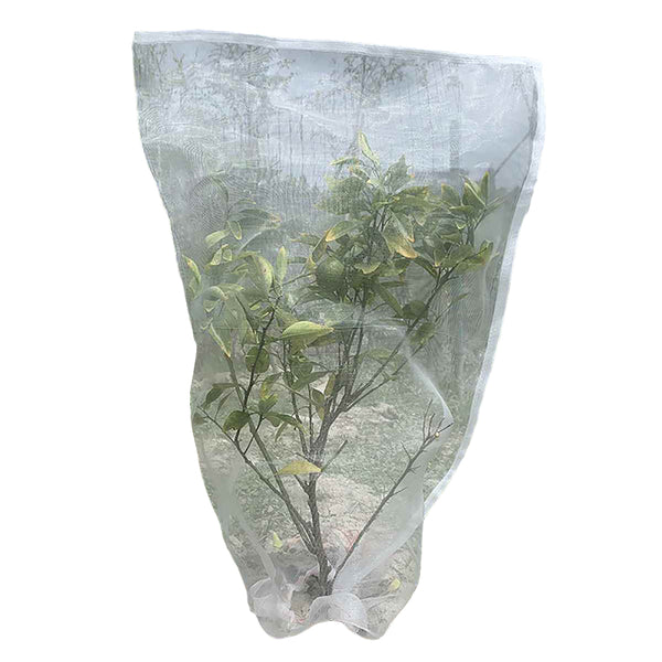 180 x 180cm Fruit Vegetable Garden Plant Protective Cover Netting Bag