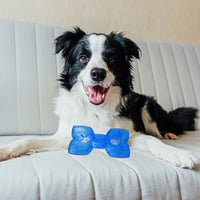 Freezable Pet Teether Cooling Chew Toy Pet Durable Teeth Cleaner