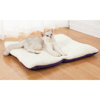 Winter Warm Pet Blanket Purple