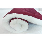 Winter Warm Pet Blanket Red