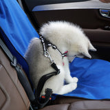 Car Back Seat Cover Mat Blue