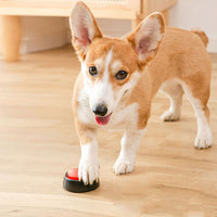 Pet Recordable Communication Button Red