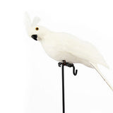 3Pcs Artificial Fake Parrot Lifelike Feathered Bird Imitation Garden Ornament 25cm -Style 2