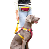 Hands Free Pet Dog Leash with Waist Bag for Running Walking Training Hiking -Yellow