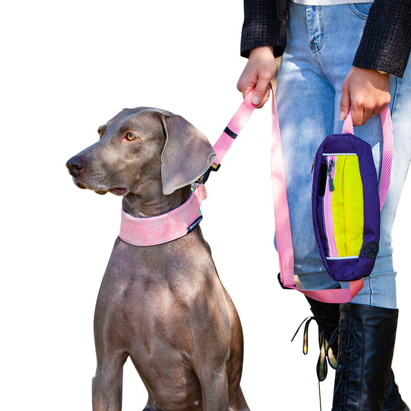 Hands Free Pet Dog Leash with Waist Bag for Running Walking Training Hiking -Pink