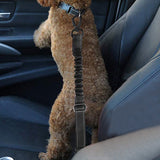 Adjustable Pet Car Harness Strap Dog Seatbelt