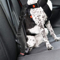 Adjustable Pet Car Harness Strap Dog Seatbelt