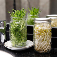 Sprouting Jars with Mesh Lids Sprouts Growing Kit Seed Germination Kit