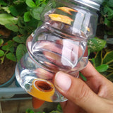 500ml Automatic Plant Watering Exquisite Workmanship for Home Garden Accessories-Style 2