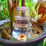 500ml Automatic Plant Watering Exquisite Workmanship for Home Garden Accessories-Style 2