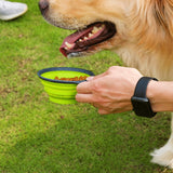 2 in 1 Portable Pet Dog Food Container Water Bottle with Collapse Bowls Outdoor for Traveling Green