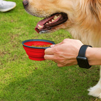 2 in 1 Portable Pet Dog Food Container Water Bottle with Collapse Bowls Outdoor for Traveling Red