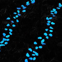 100Pcs Glow-in-the-Dark Pebbles White/Blue Light