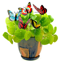 50 or 100Pcs Garden Butterfly Stakes Yard Patio Plant Pot Flower Bed Decor