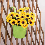 10Pcs Hanging Flower Pots with Detachable Hooks