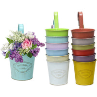 12Pcs Hanging Flower Pots Metal Planter Bucket Flowerpot with Detachable Hooks Home Decor