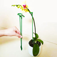 10Pcs Set 17cm Plant Support Stakes Garden Single Stem Flower Support Stake Rings