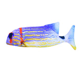 30cm Floppy Fish Cat Toy Realistic 3D Tail Wagging Fish Toy USB Rechargeable Cat Chew Toy -Style 4