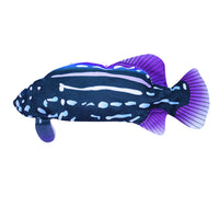 30cm Floppy Fish Cat Toy Realistic 3D Tail Wagging Fish Toy USB Rechargeable Cat Chew Toy -Style 2