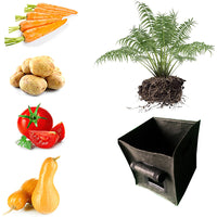 2 Pack 15 Gallon Potato Grow Planter Container Bag Pouch Root Plant Growing Pot with Side Window and Handles-Black